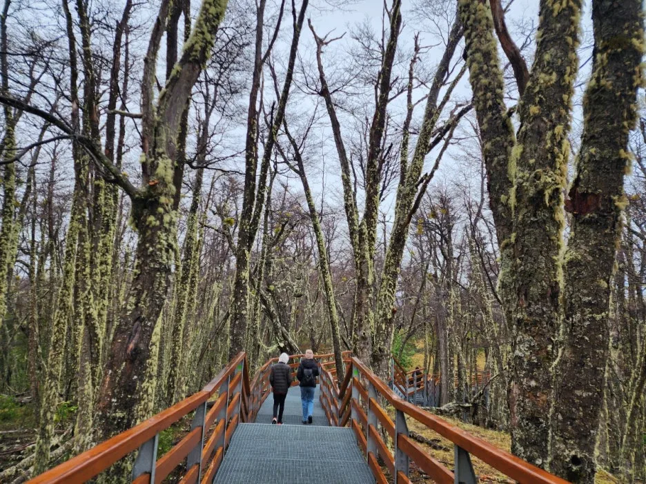 KakaoTalk_20240805_072017806_10.jpg?type=w1