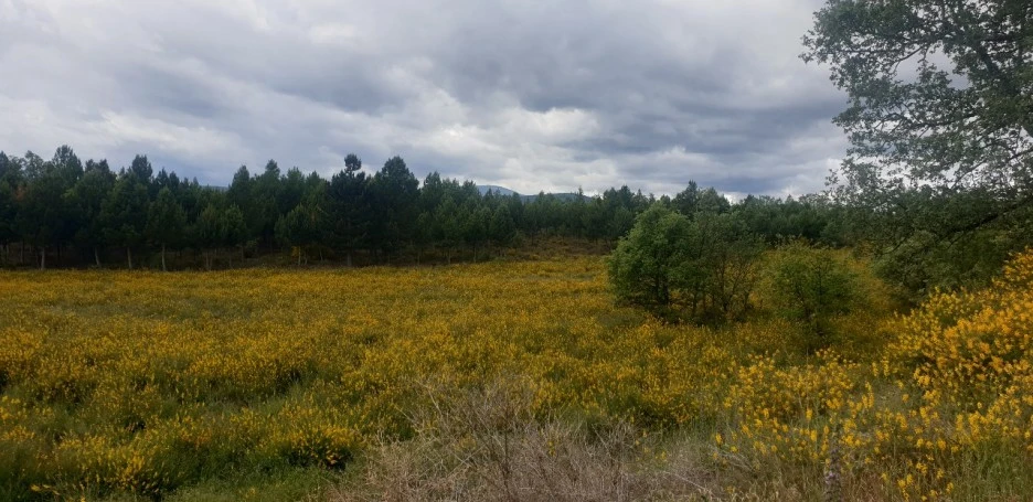 KakaoTalk_20220608_004544557_08.jpg?type=w1