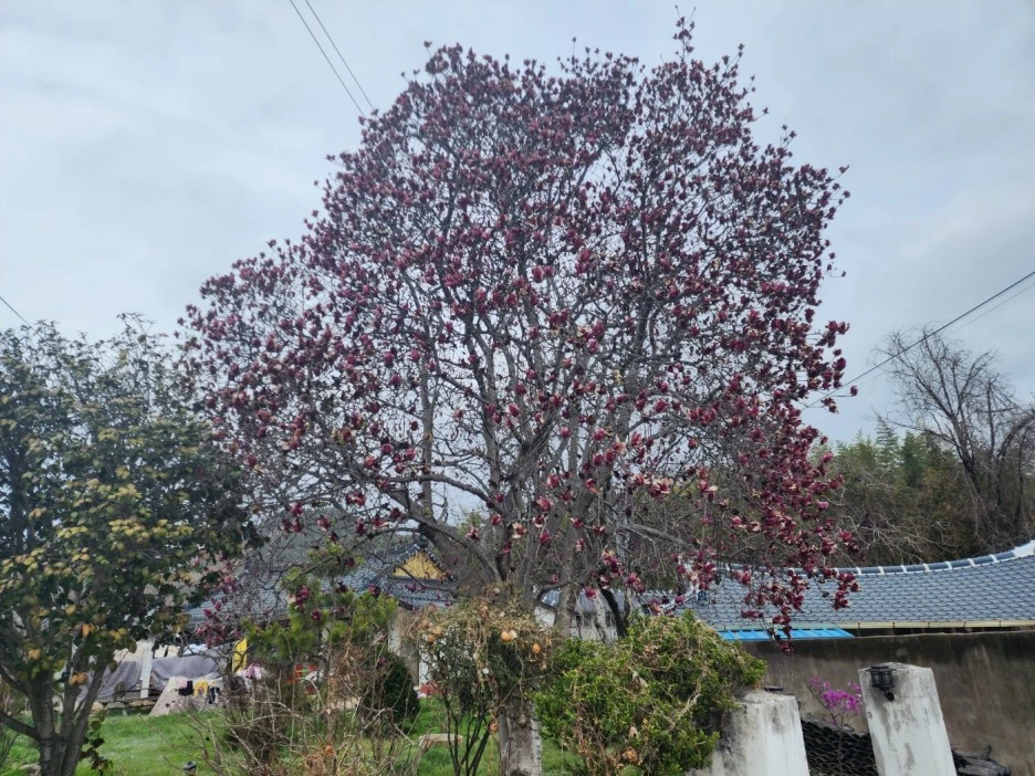 KakaoTalk_20230326_170927245_20.jpg?type=w1