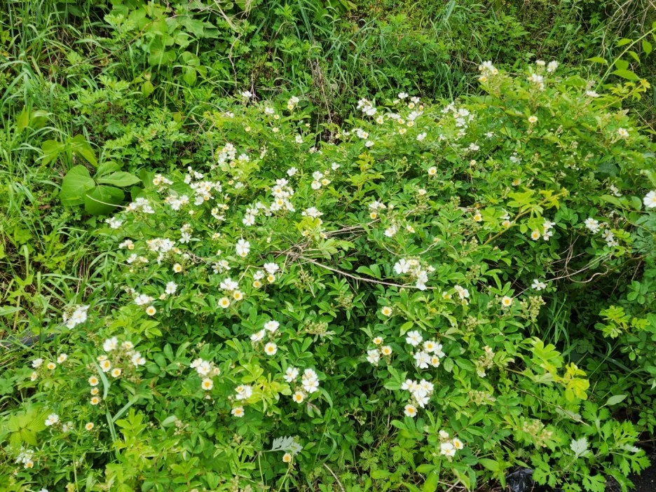 KakaoTalk_20240508_155917921_18.jpg?type=w1