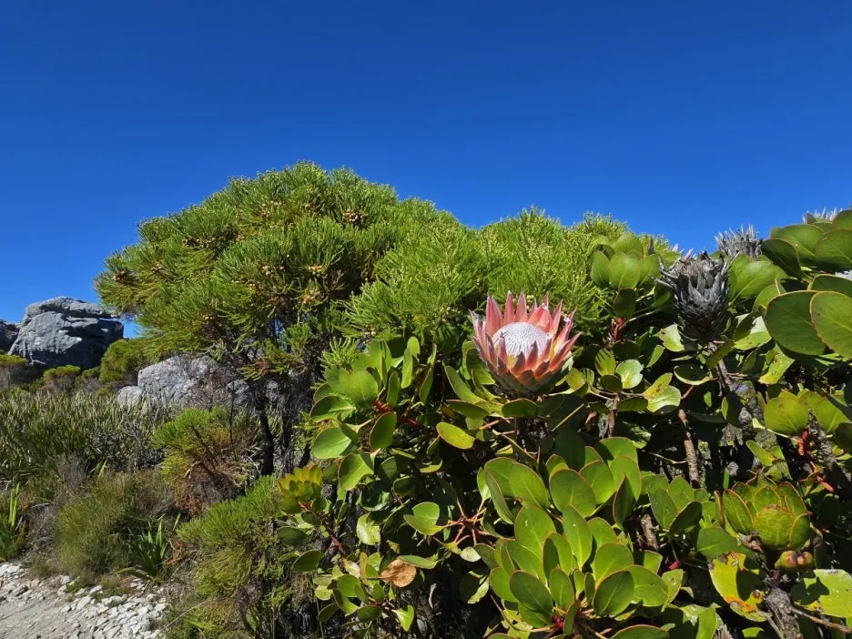 KakaoTalk_20250406_092730139_18.jpg?type=w1