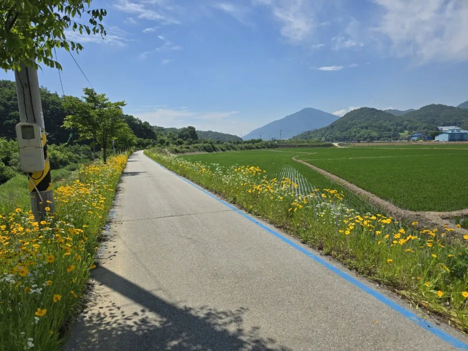 KakaoTalk_20250615_052355191_19.jpg?type=w1