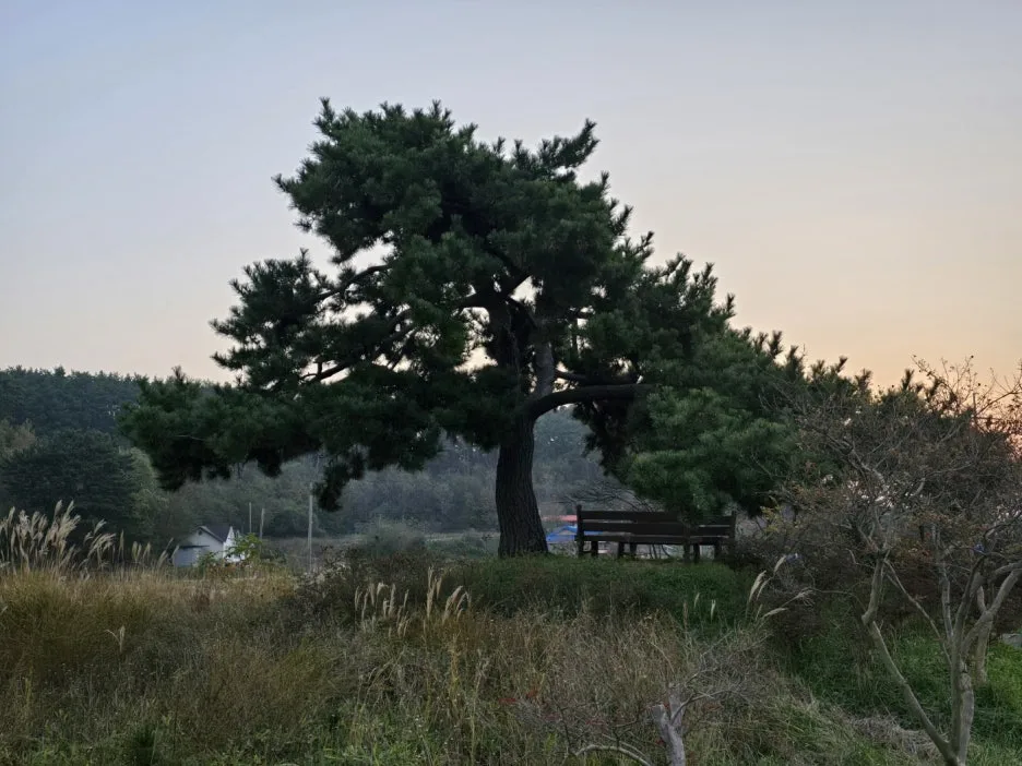 KakaoTalk_20241112_044854649_04.jpg?type=w1