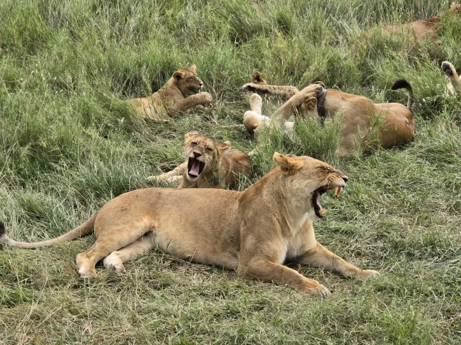 KakaoTalk_20250405_134443007_19.jpg?type=w1