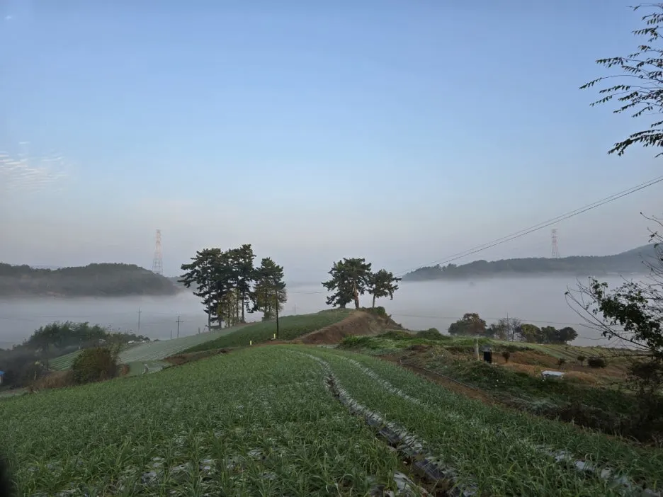 KakaoTalk_20241114_034525994_02.jpg?type=w1