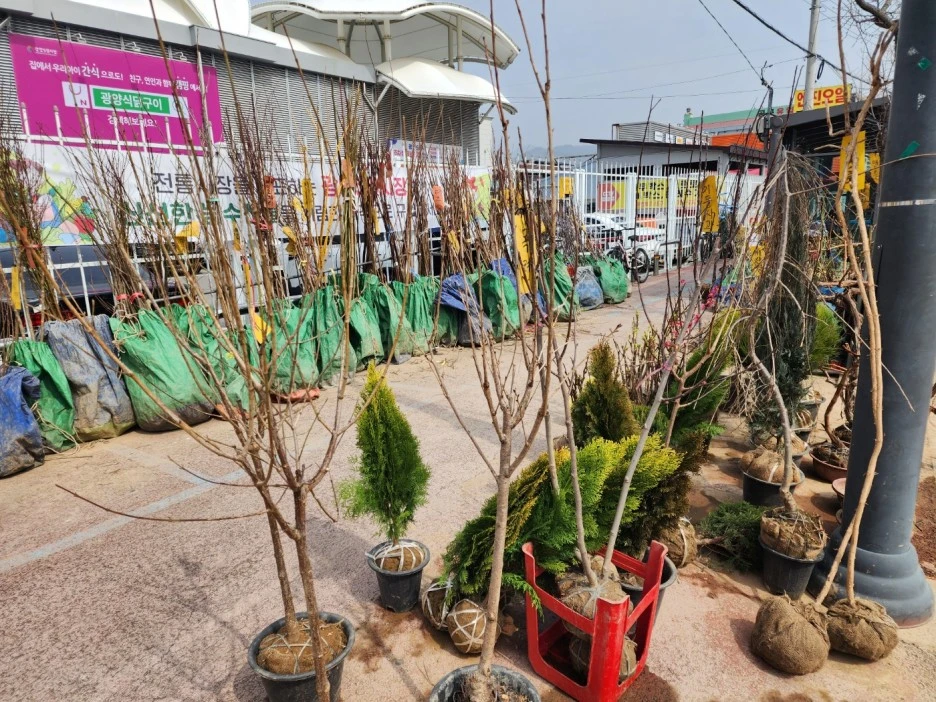 KakaoTalk_20230312_033555235_13.jpg?type=w1