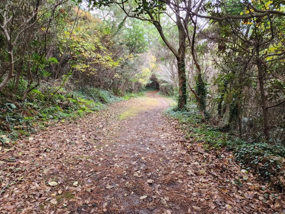 KakaoTalk_20221229_212156584.jpg?type=w1