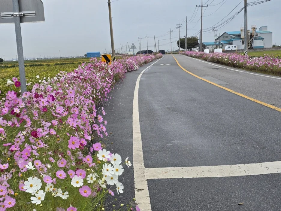 KakaoTalk_20241016_042214358_12.jpg?type=w1