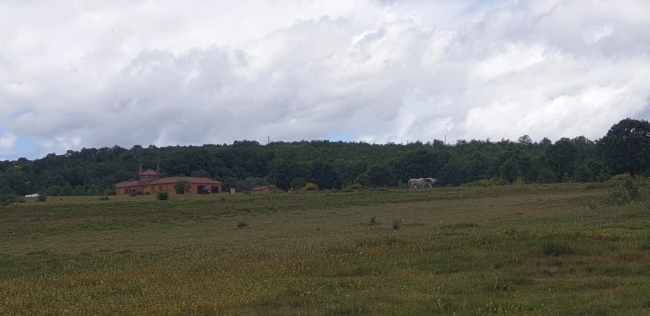 KakaoTalk_20220608_004544557_10.jpg?type=w1