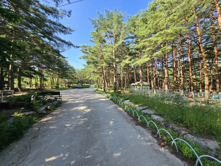 KakaoTalk_20250623_164743987_18.jpg?type=w1