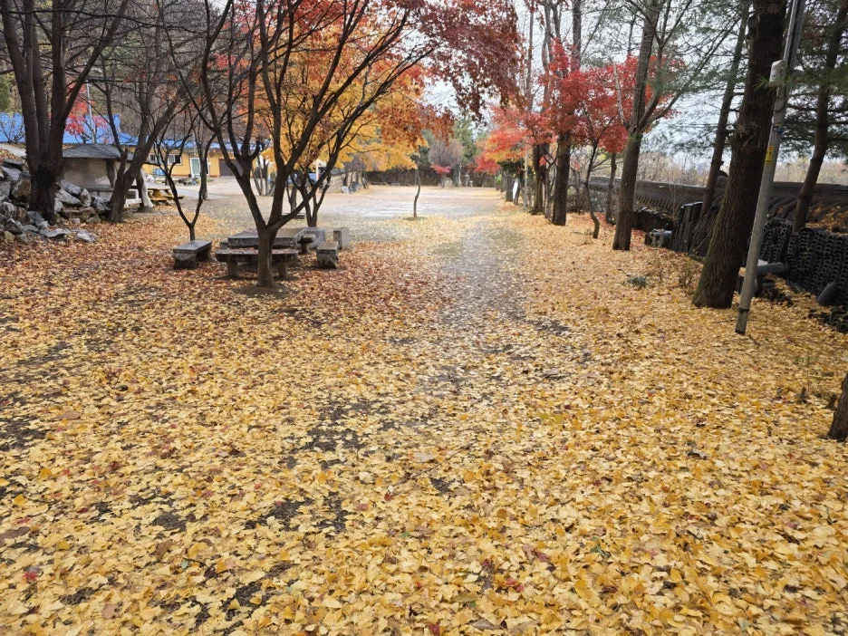 KakaoTalk_20241128_094326100_19.jpg?type=w1