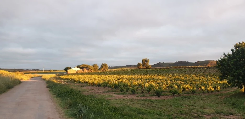 KakaoTalk_20220528_044008719_01.jpg?type=w1