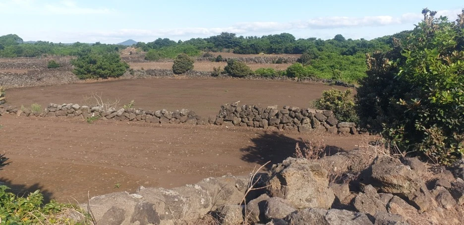 KakaoTalk_20220827_045330099_09.jpg?type=w1