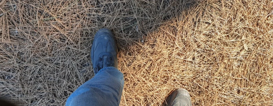 SE-56a04d1d-d8a9-4c8c-9426-d9e85b111468.jpg?type=w1