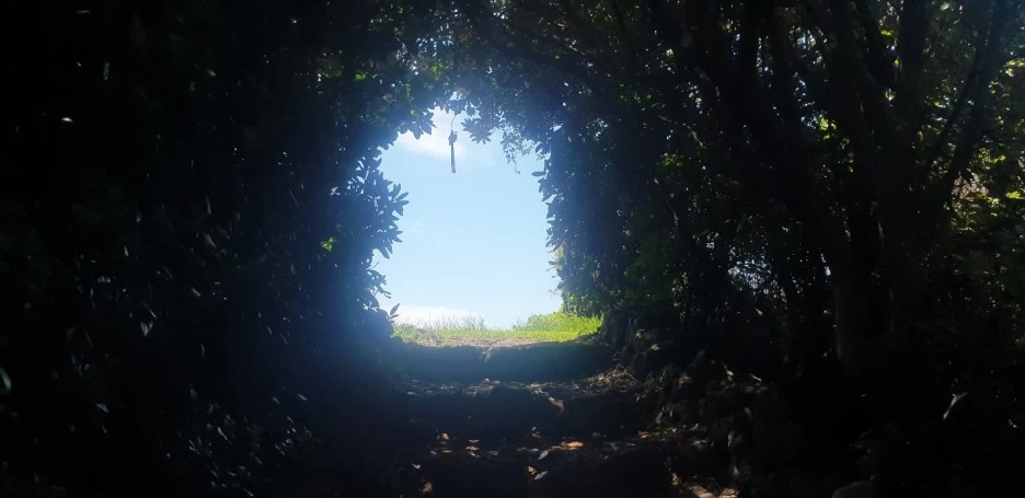 KakaoTalk_20220830_013603826_12.jpg?type=w1