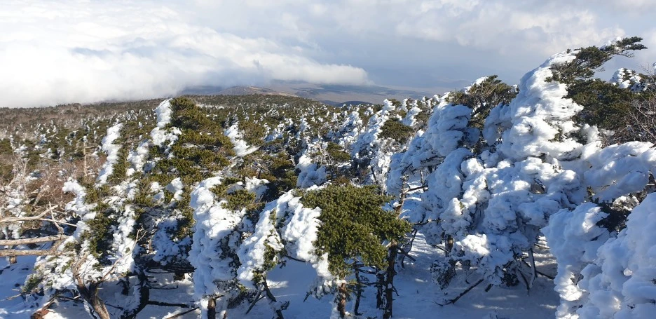 20211210_123743.jpg?type=w1