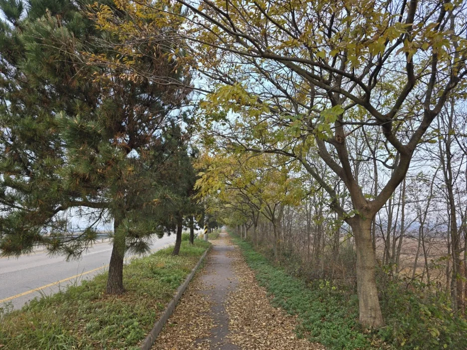 KakaoTalk_20241121_163313957_06.jpg?type=w1