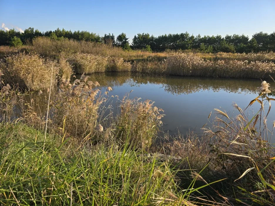 KakaoTalk_20241108_062645057_04.jpg?type=w1