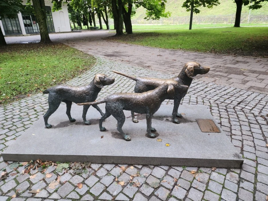 KakaoTalk_20230809_185936861_15.jpg?type=w1