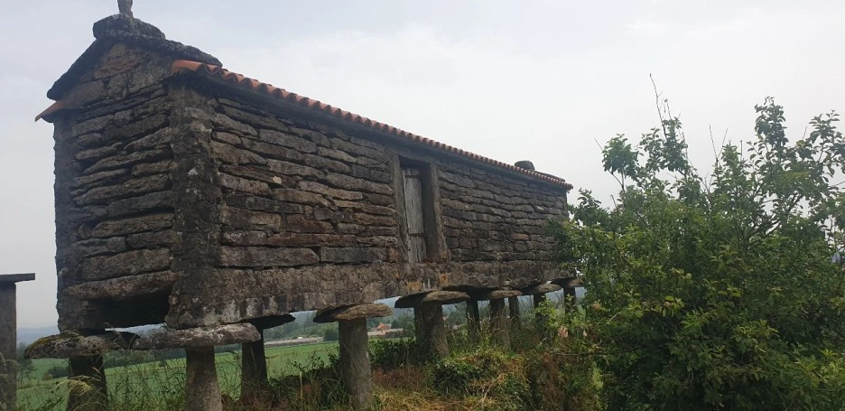 KakaoTalk_20220621_021007134_02.jpg?type=w1