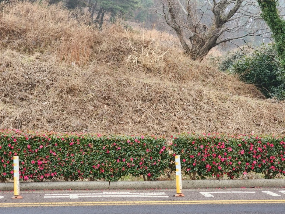 KakaoTalk_20230219_054911575_16.jpg?type=w1