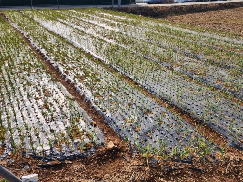 KakaoTalk_20230217_014827435_09.jpg?type=w1