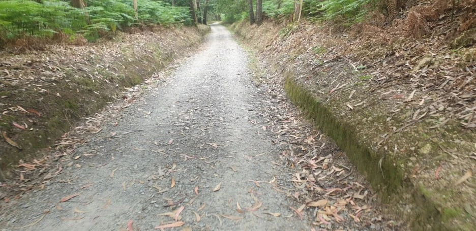 KakaoTalk_20220618_000850286_05.jpg?type=w1