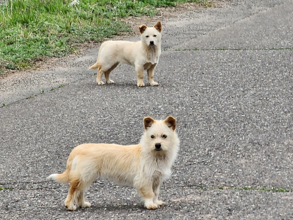 KakaoTalk_20240508_050813044_03.jpg?type=w1