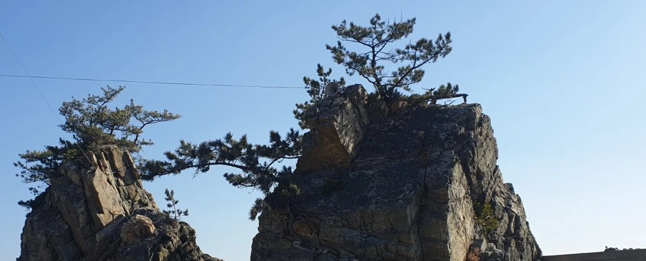 SE-1647e826-13d2-4822-bd52-a67fb620e6ba.jpg?type=w1