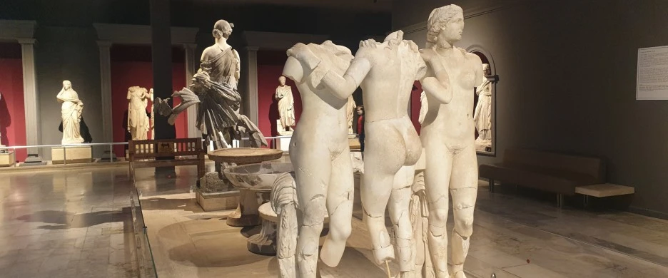 SE-06a145f1-1c17-49c8-ac02-b2e3d0ddd119.jpg?type=w1