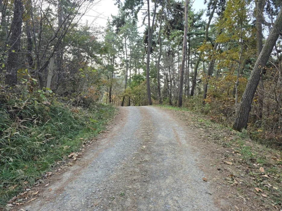 KakaoTalk_20241112_044854649_07.jpg?type=w1