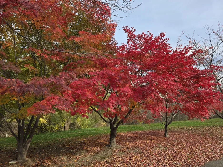 KakaoTalk_20241120_031352450_15.jpg?type=w1