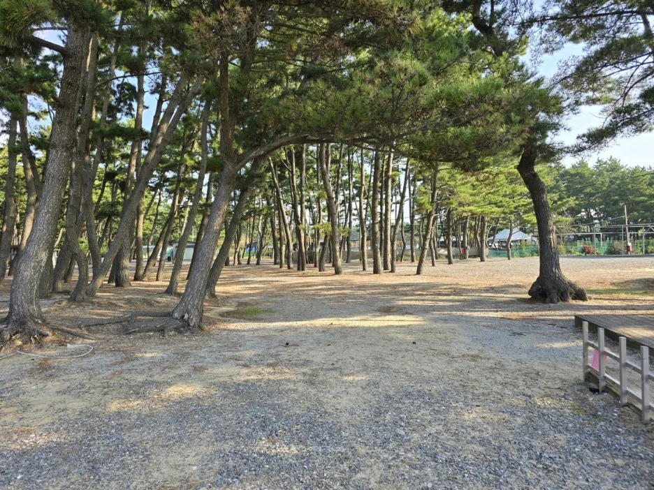 KakaoTalk_20241101_225213180_18.jpg?type=w1