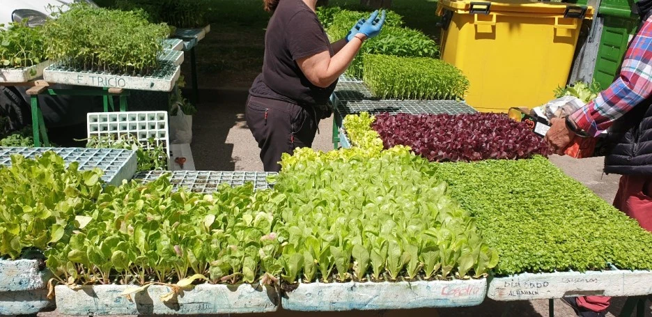 KakaoTalk_20220527_030923495_02.jpg?type=w1