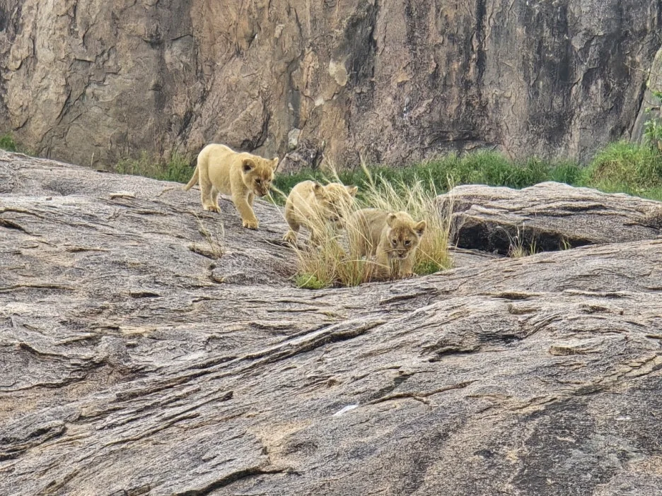 KakaoTalk_20250405_134443007_20.jpg?type=w1