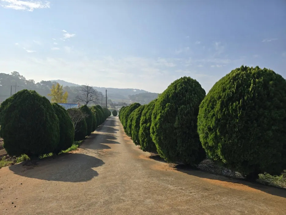 KakaoTalk_20241114_034525994_13.jpg?type=w1