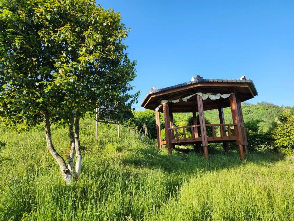 KakaoTalk_20240513_210116338_02.jpg?type=w1