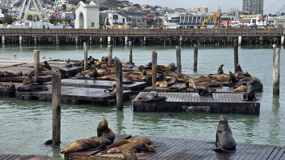 KakaoTalk_20250818_202419132_28.jpg?type=w1