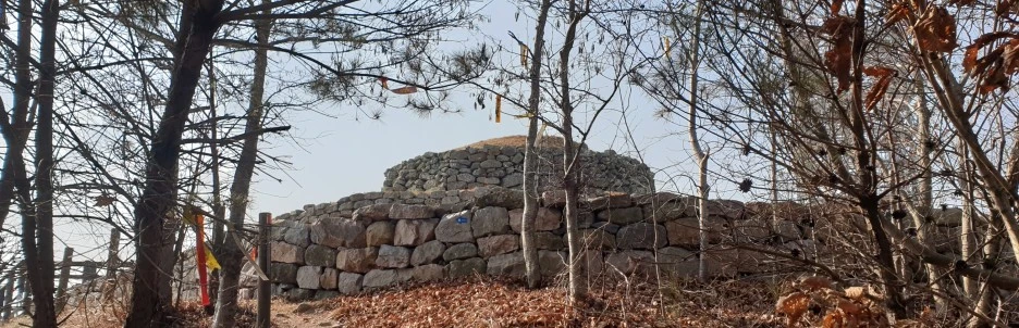 SE-e2b4d0cf-1f2a-48ae-807e-602de6016ec5.jpg?type=w1