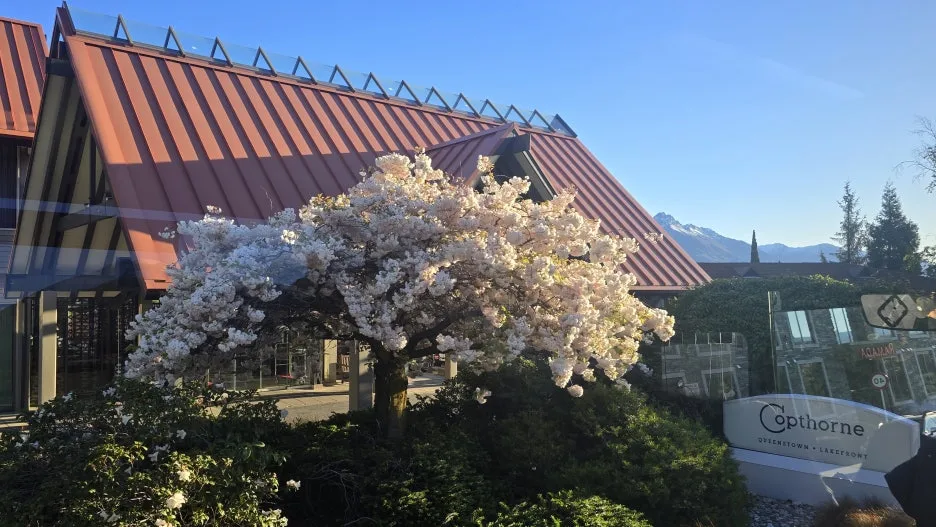 KakaoTalk_20251102_130531968.jpg?type=w1