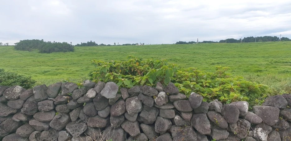 KakaoTalk_20220828_043707461_05.jpg?type=w1