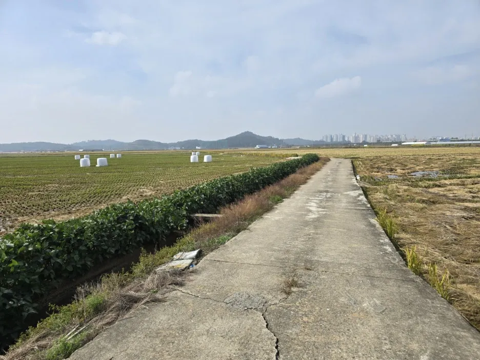 KakaoTalk_20241023_023745528_13.jpg?type=w1