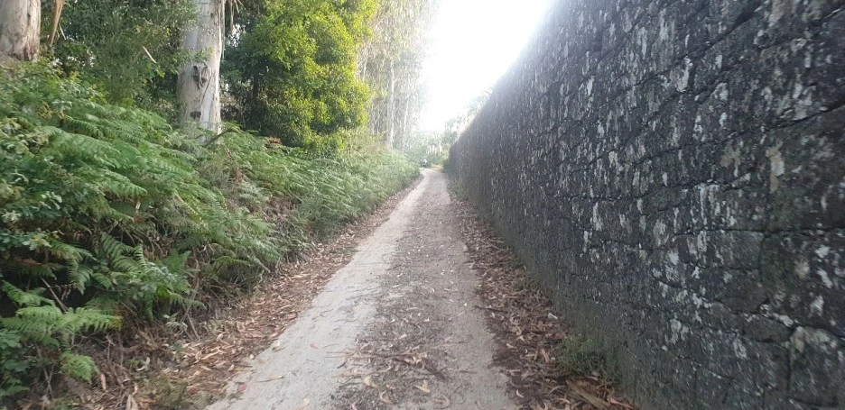 KakaoTalk_20220618_000654540_04.jpg?type=w1