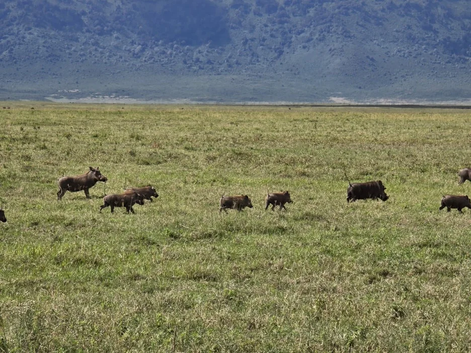 KakaoTalk_20250405_153555823_23.jpg?type=w1