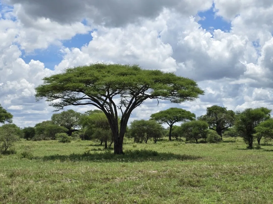 KakaoTalk_20250405_112215504_07.jpg?type=w1