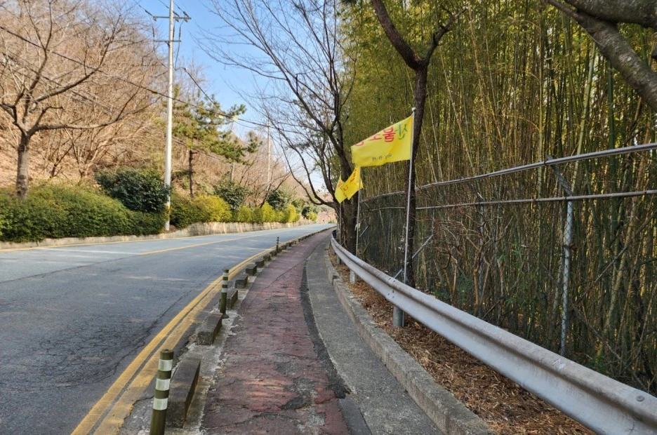 SE-70576684-e8ab-49d1-8953-9c5d4d52db94.jpg?type=w1