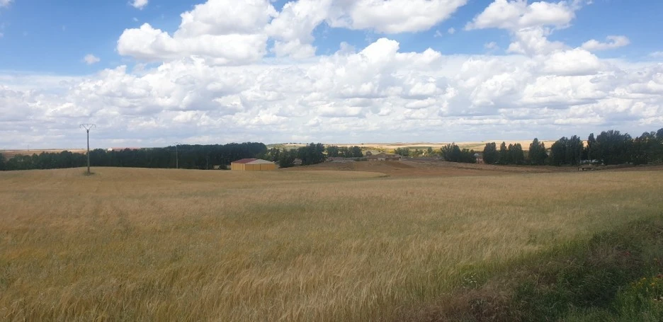 KakaoTalk_20220603_011120935.jpg?type=w1