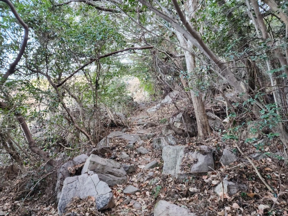 KakaoTalk_20230222_042528809_04.jpg?type=w1