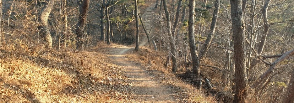 SE-bb257bd0-e3c5-43fa-bbd5-7205f958d823.jpg?type=w1