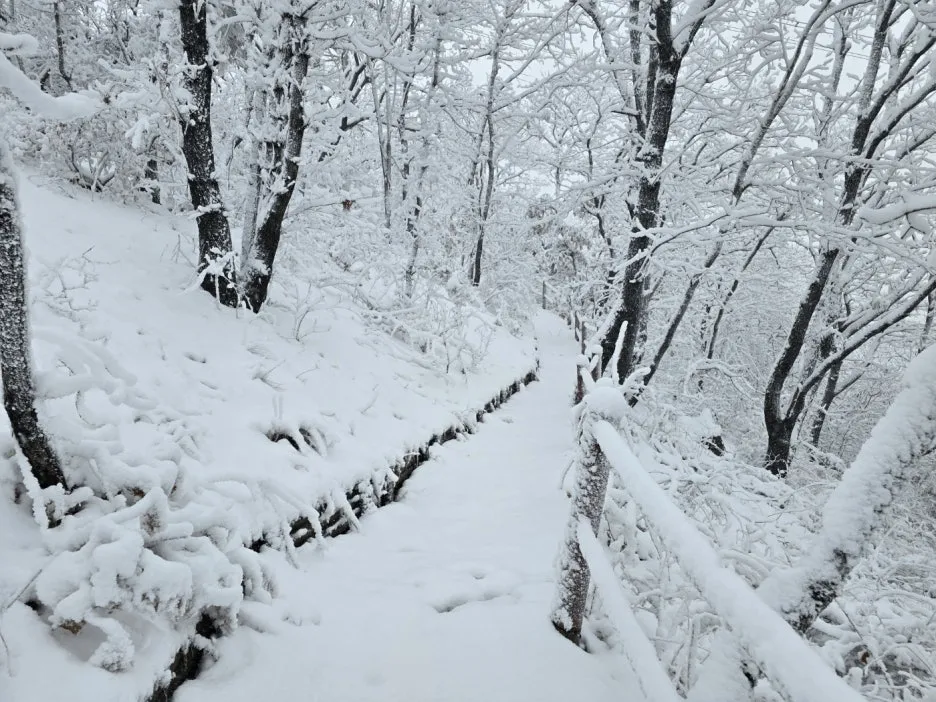 KakaoTalk_20241129_050938052_02.jpg?type=w1